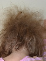 bedhead